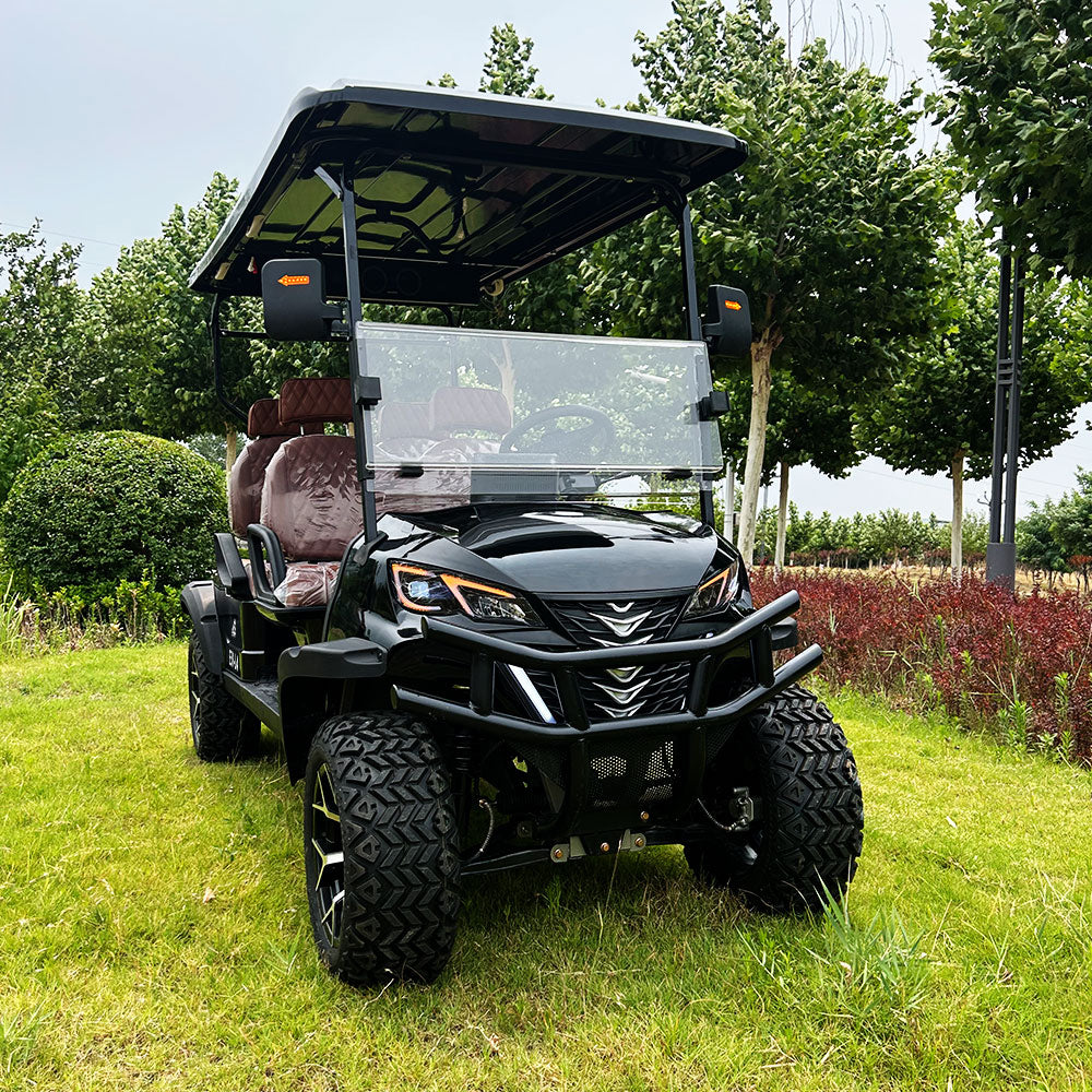 Electric Golf Cart 4 6 Seater Off-Road Golf Car Street 72V Lithium Battery ATV