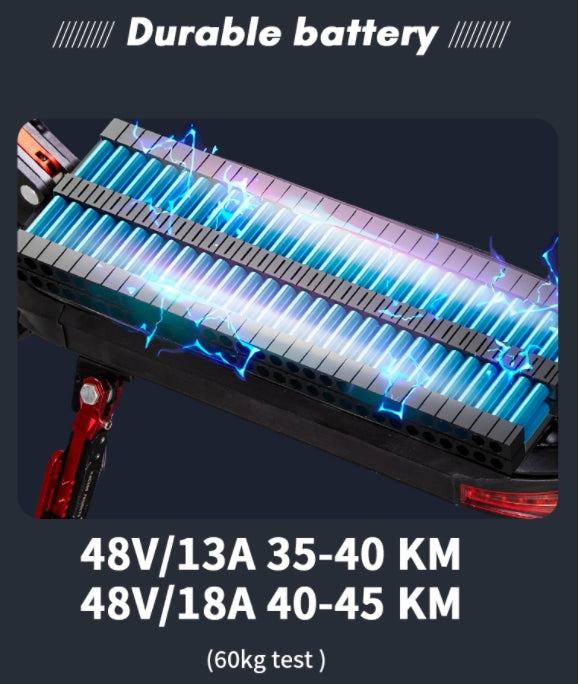 Teraysun 1200W Electric Scooter